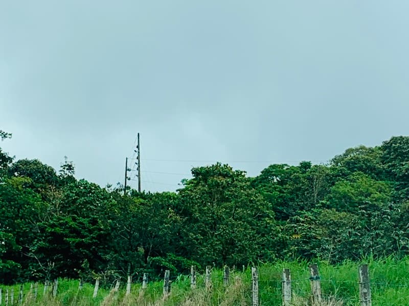 Terreno en Toro Amarillo