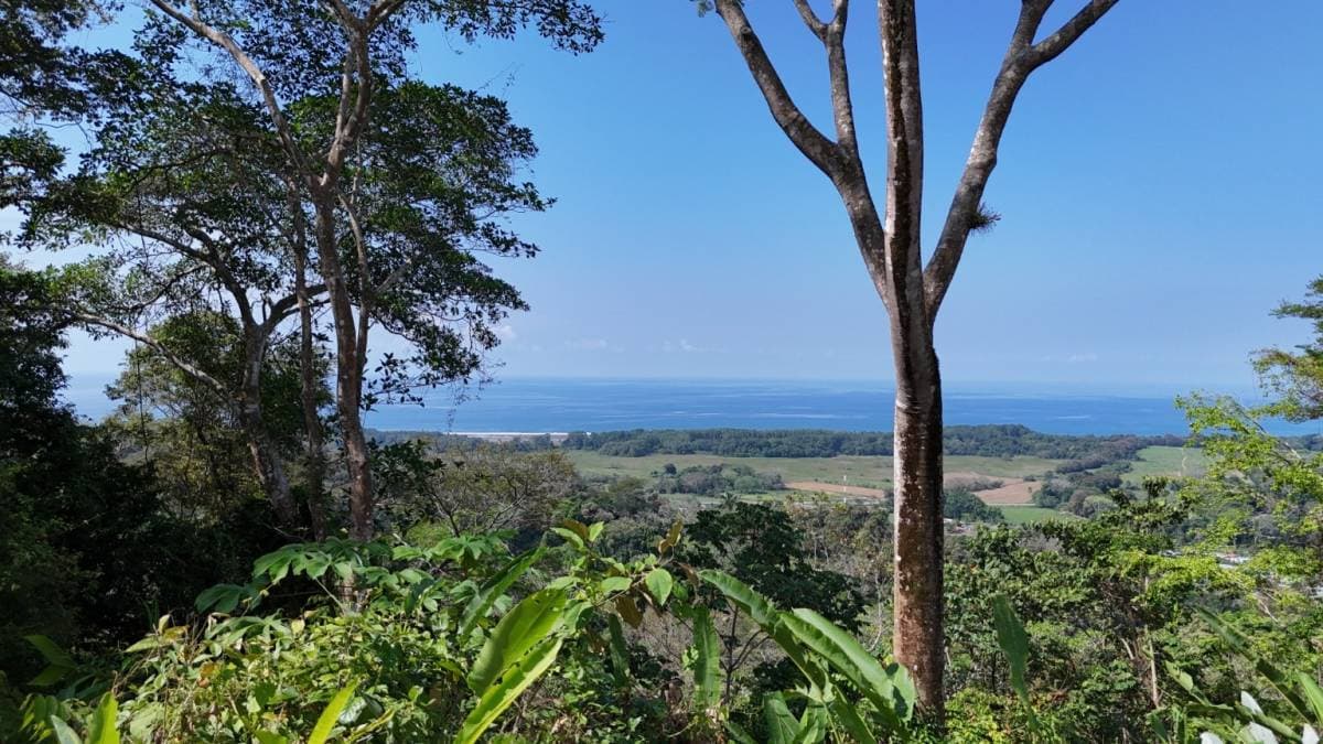Property at Savegre