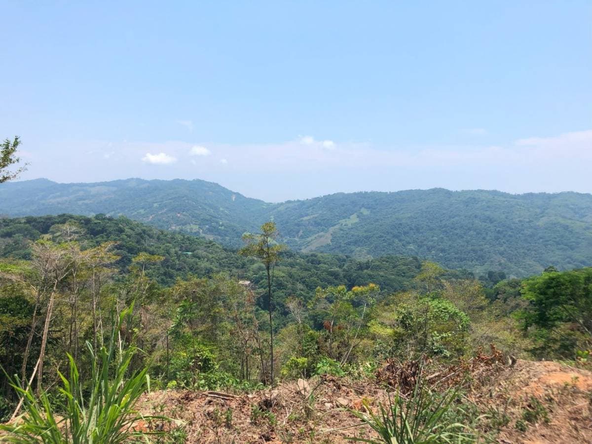 Property at Platanillo