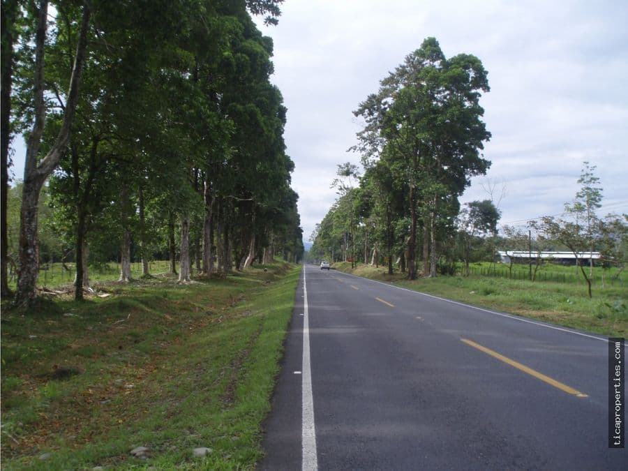 Terreno en Horquetas