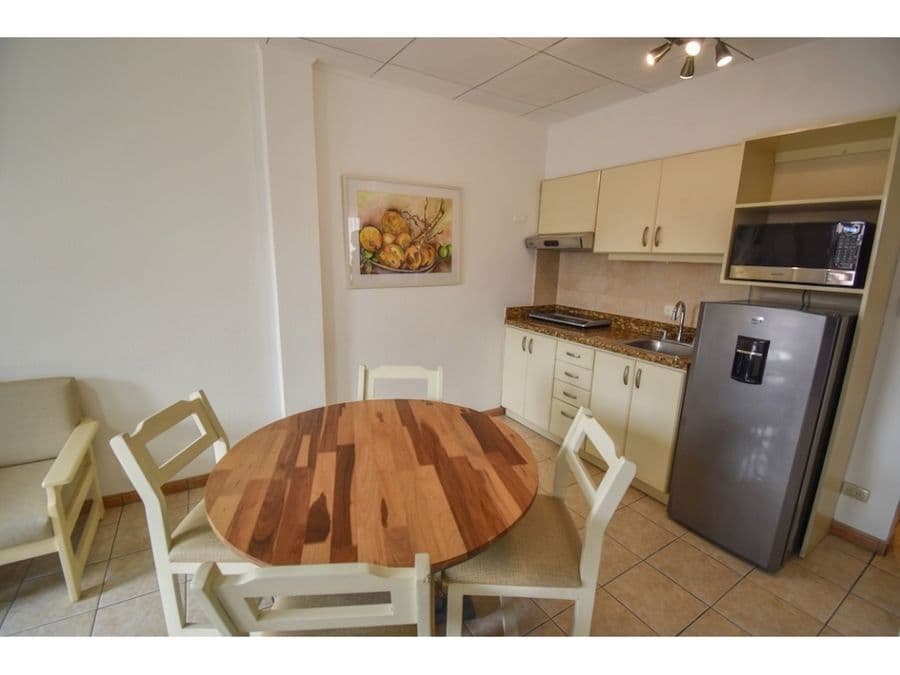 Apartment at Mata Redonda