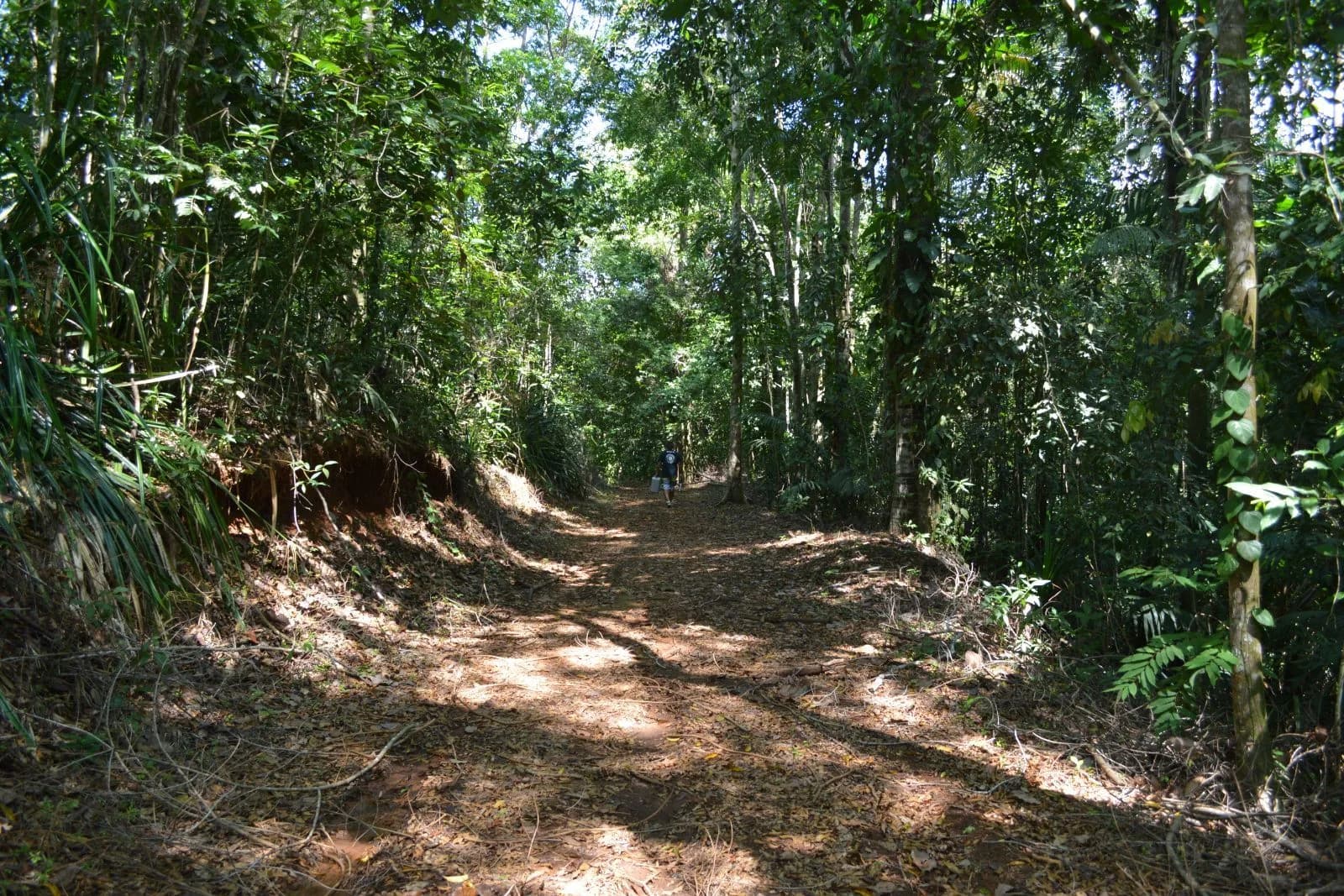 Land at Puerto Jiménez