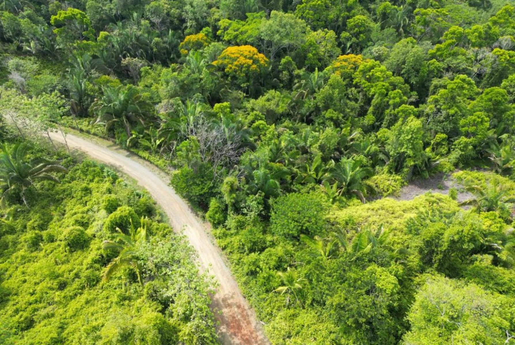 Land at Naranjito