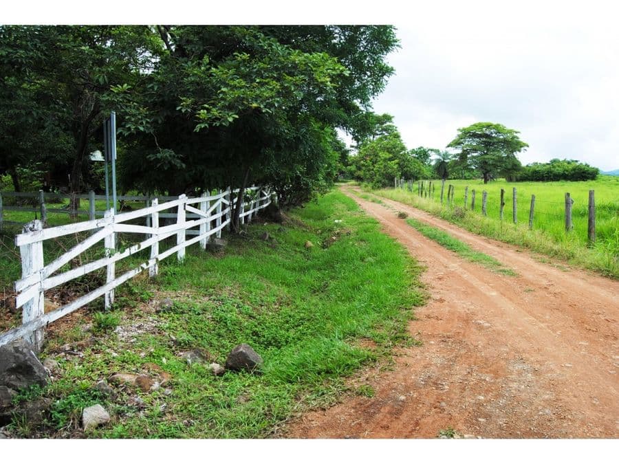 Terreno en Palmira