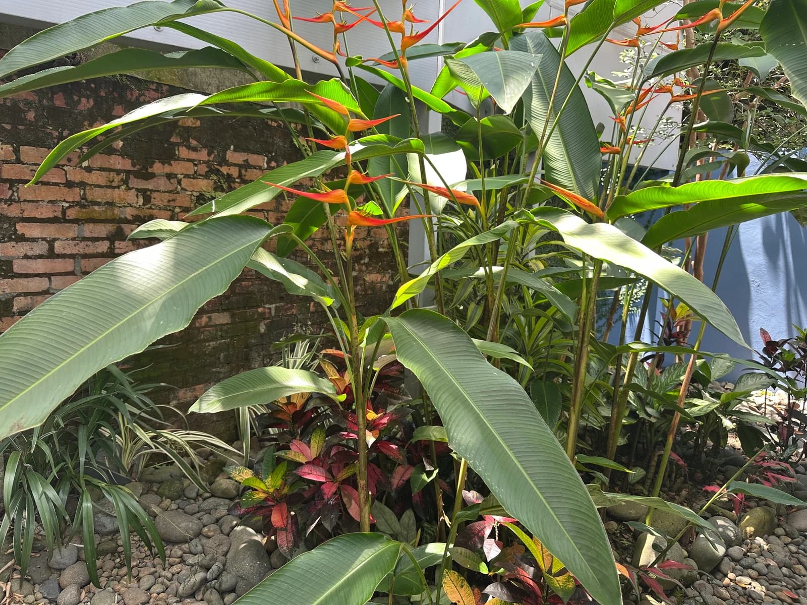 Property at San Pedro