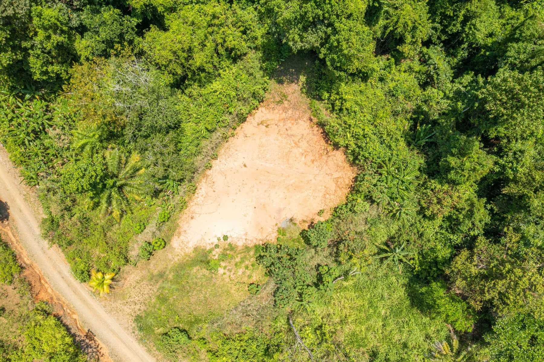 House at Quepos