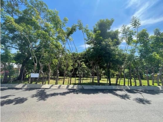 Property at Orotina