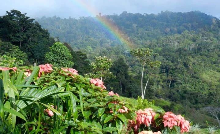 Property at Perez Zeledon