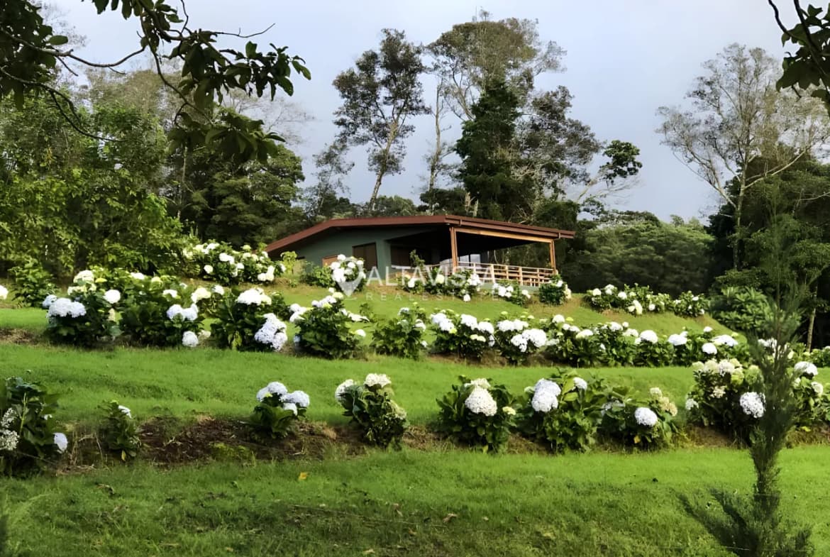 Property at Carrizal