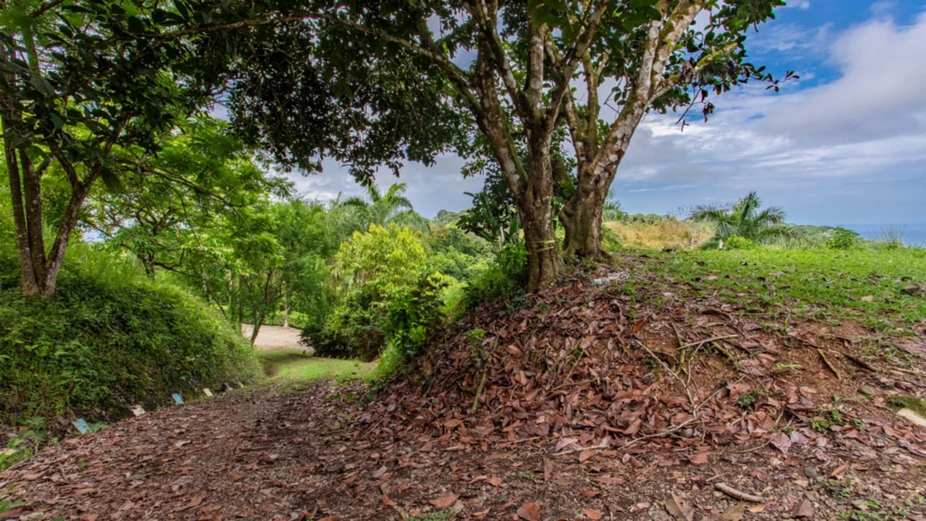 Terreno en Bahía Ballena
