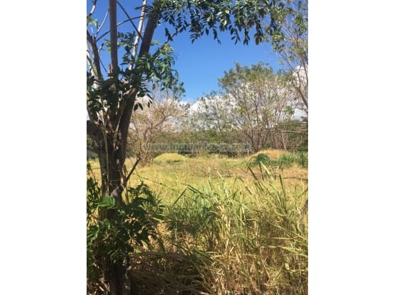 Terreno en La Ribera