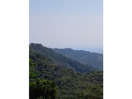 Propiedad en Alajuela