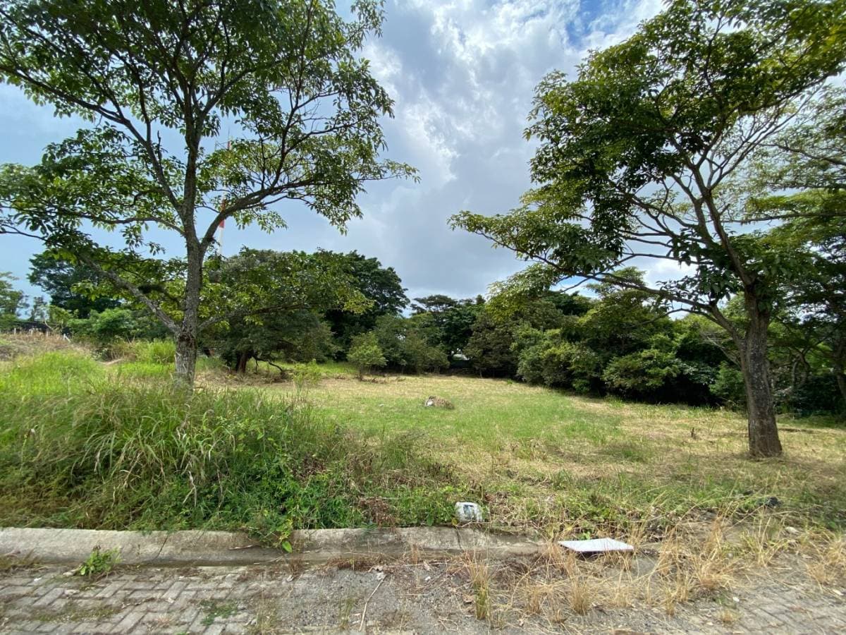 Property at Central-Alajuela