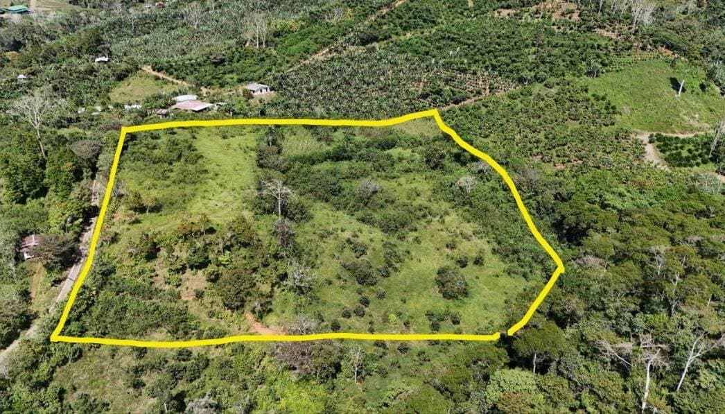 Estate at Platanares