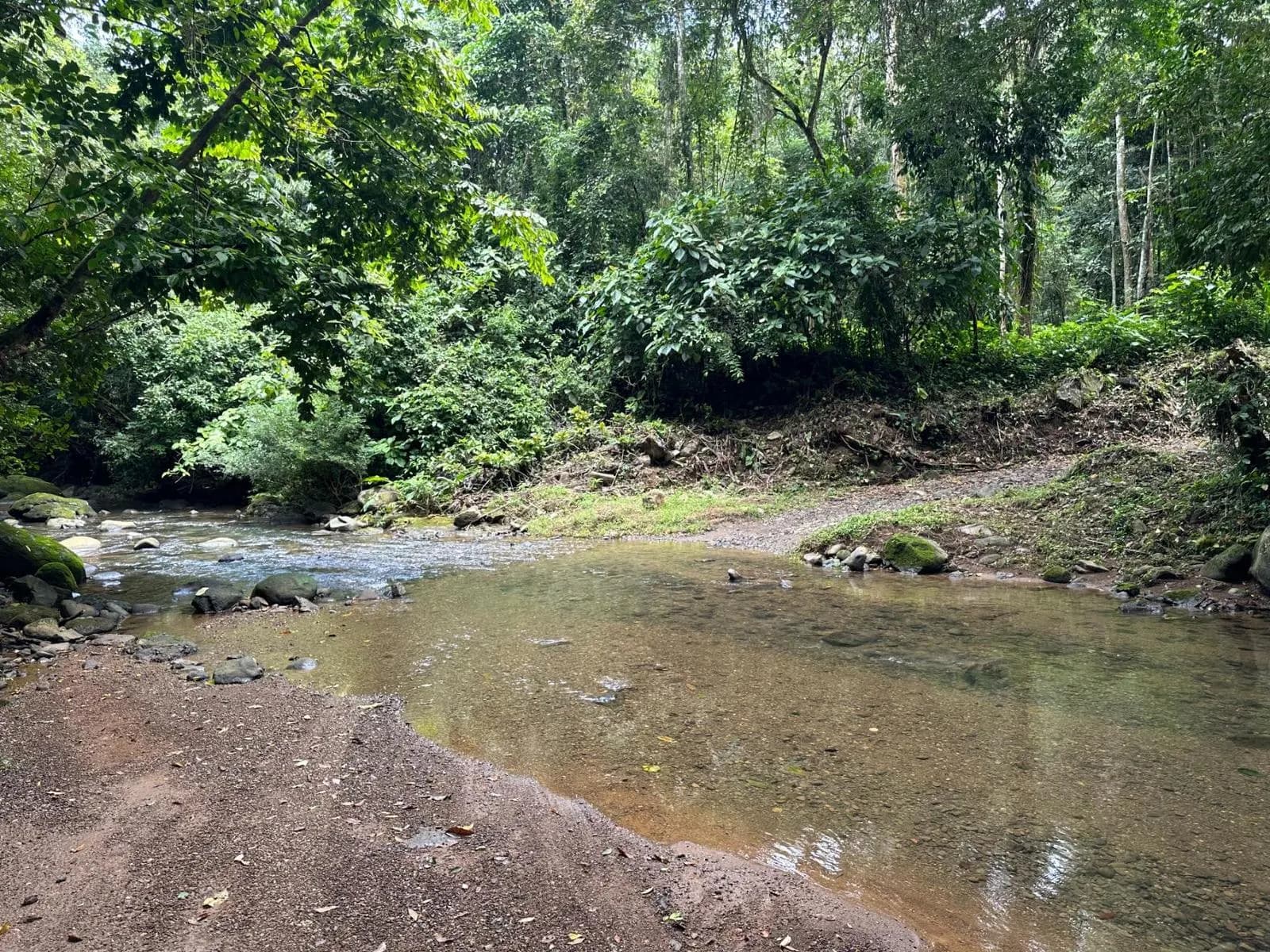 Land at Quepos