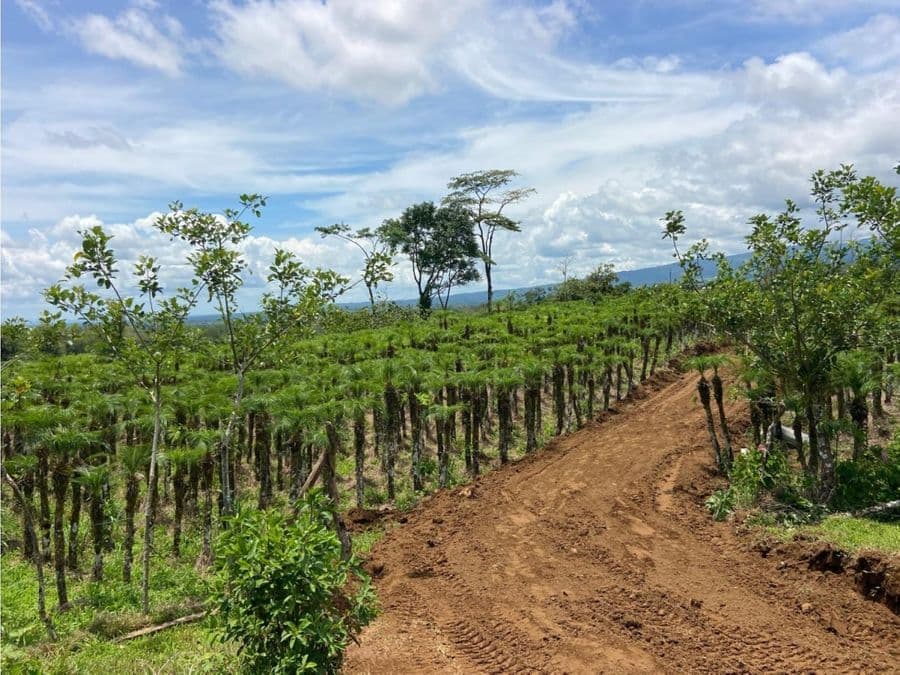 Property at Heredia