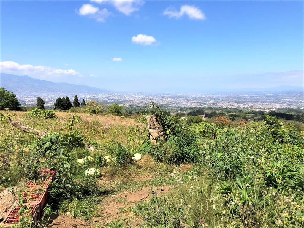 Terreno en San Rafael