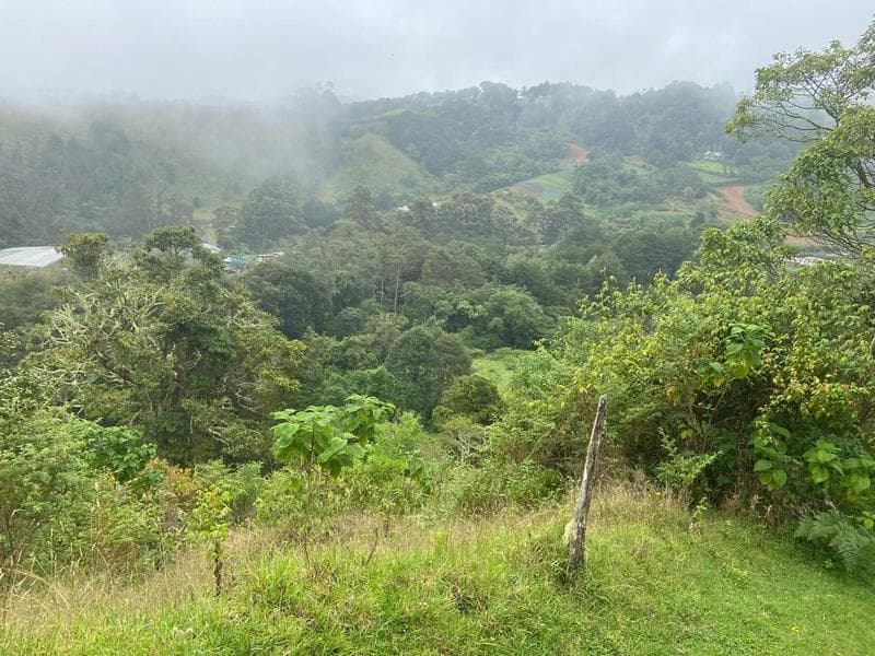 Property at San José