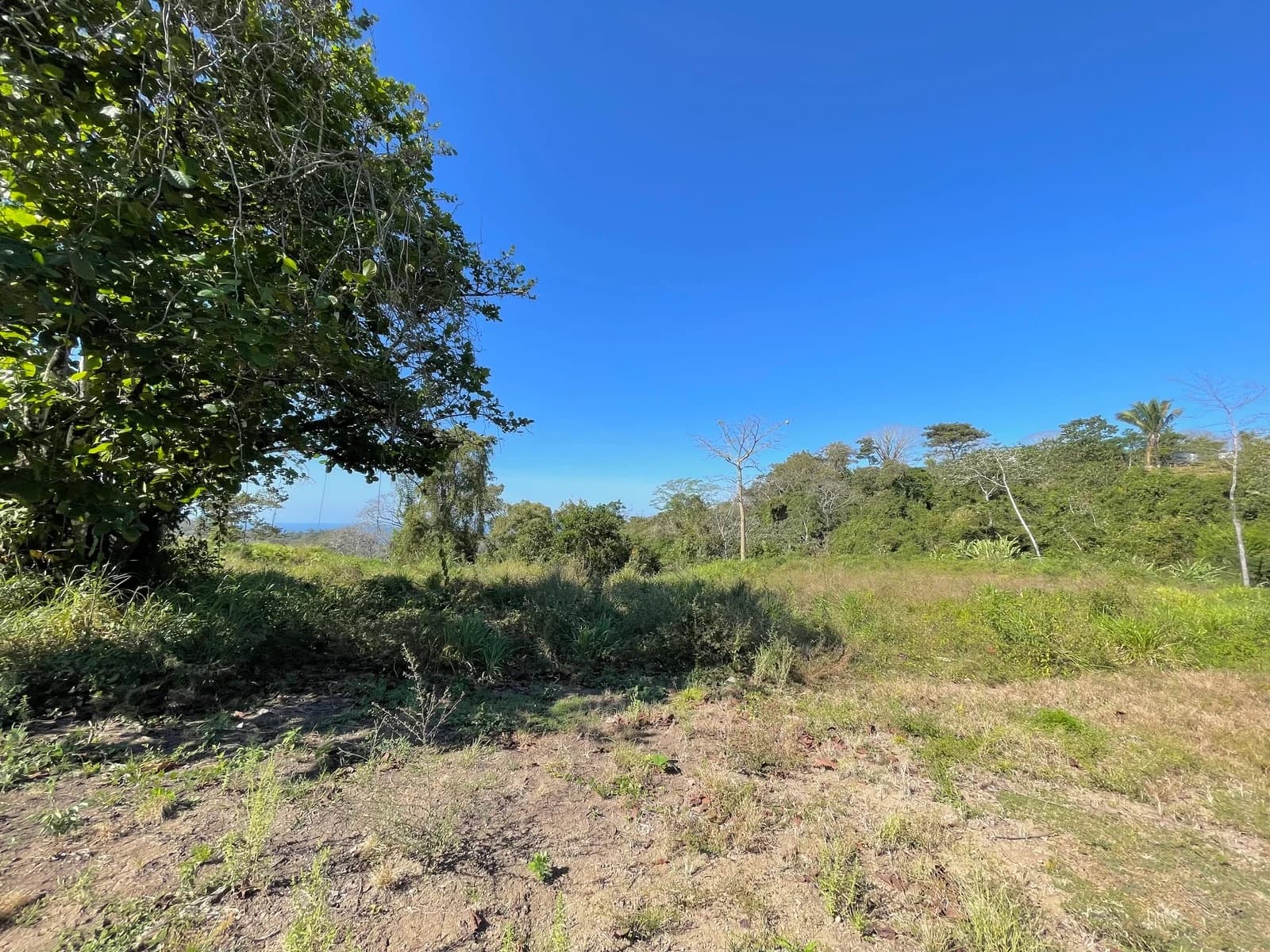 Land at Cóbano