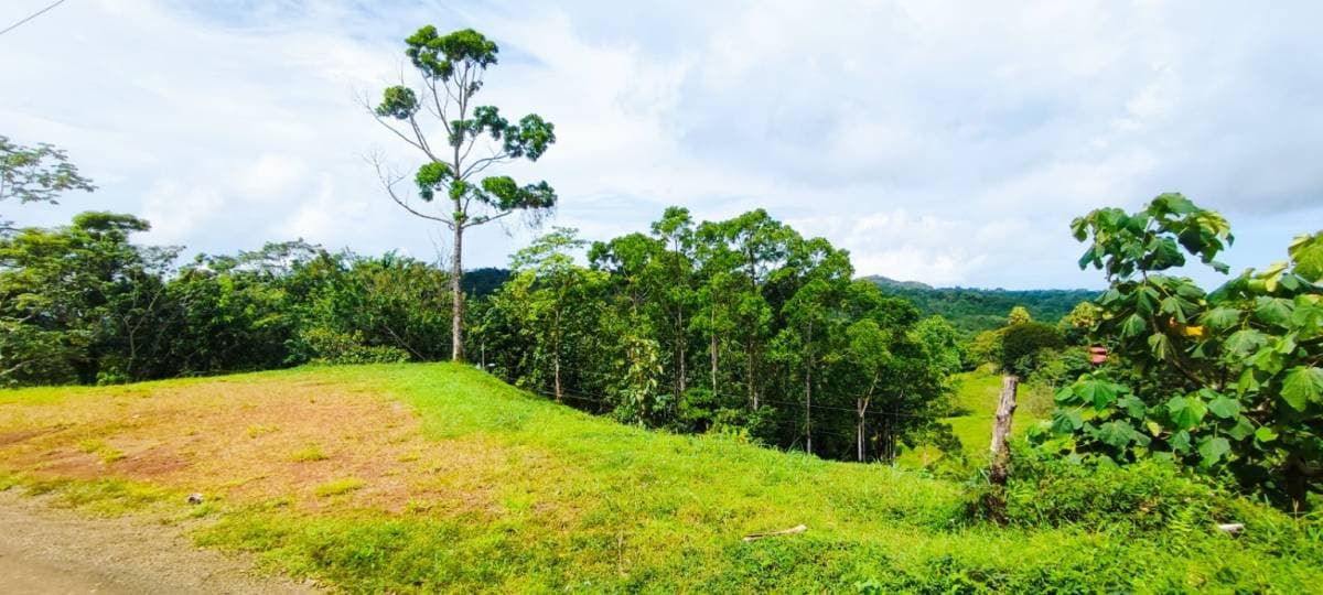 Property at Bijagual