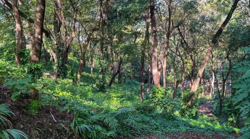 House at Santa Teresa