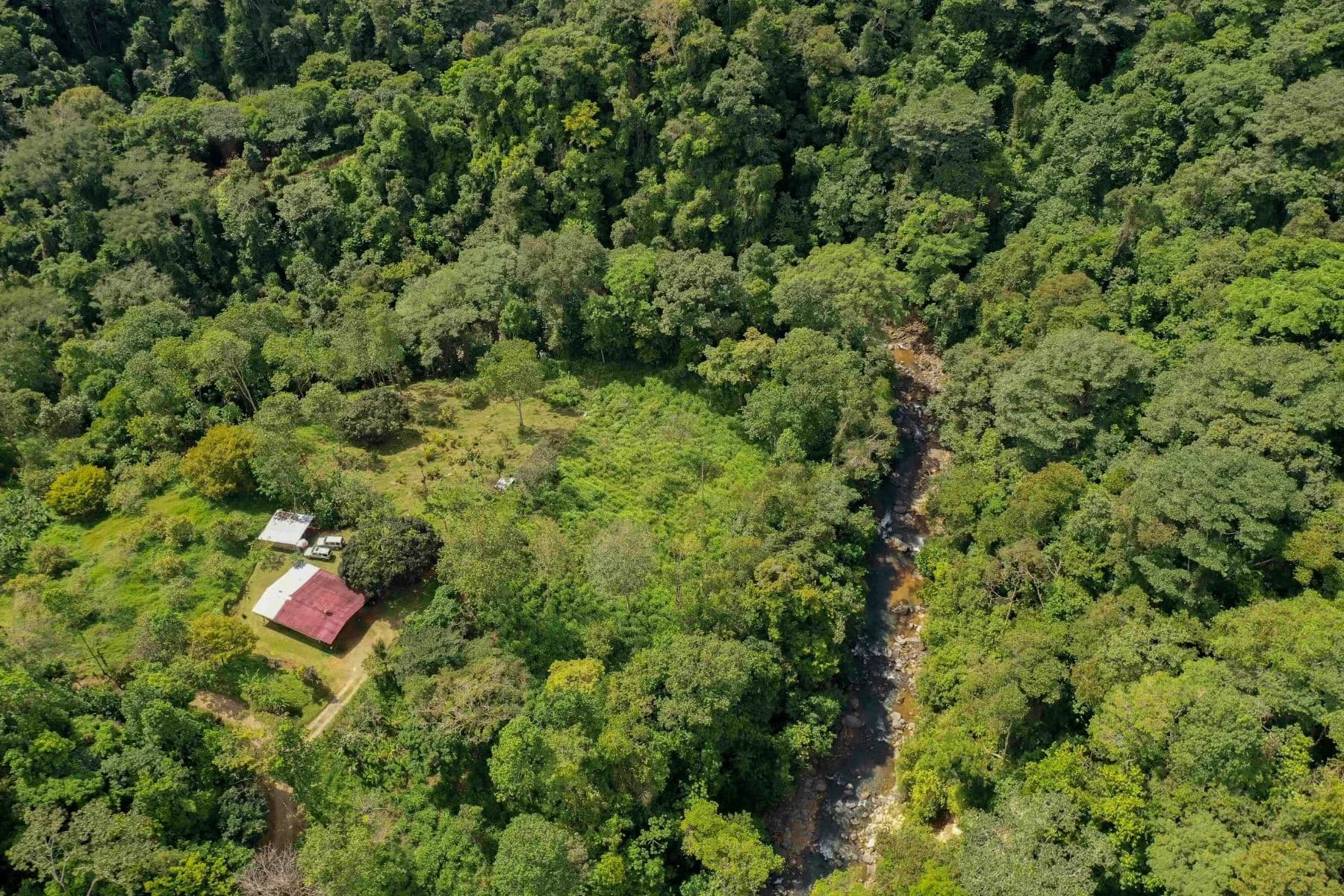 Land at Bahía Ballena