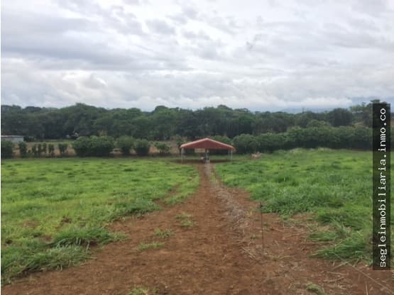 Finca en Guácima