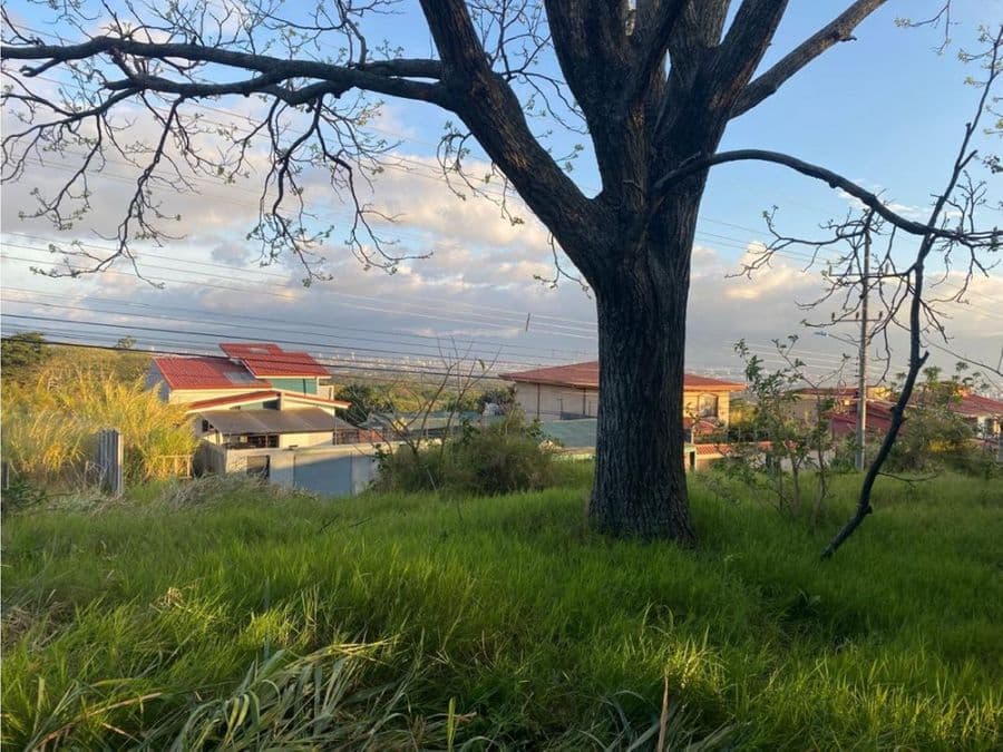 Land at Concepción