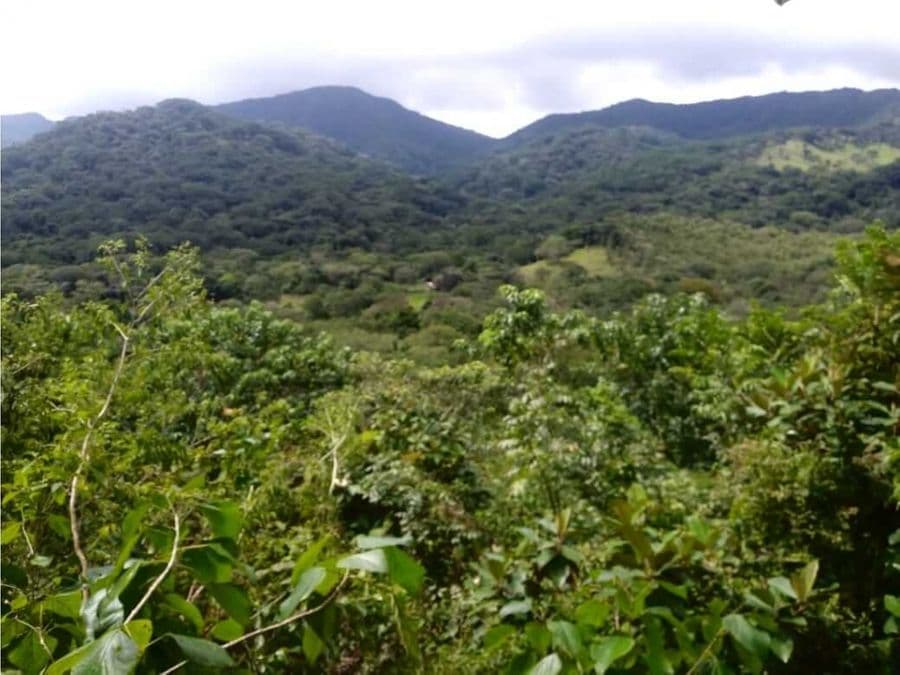 Estate at Nicoya