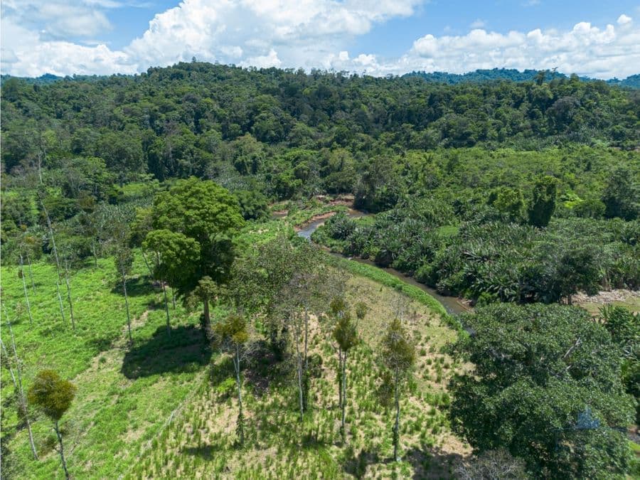 Land at Limón