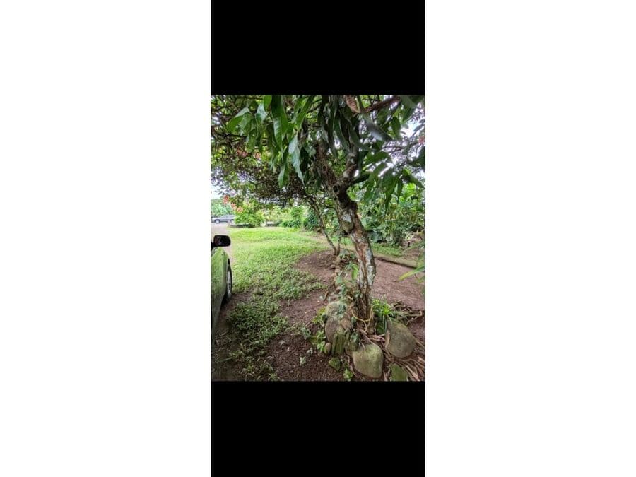 Terreno en La Fortuna