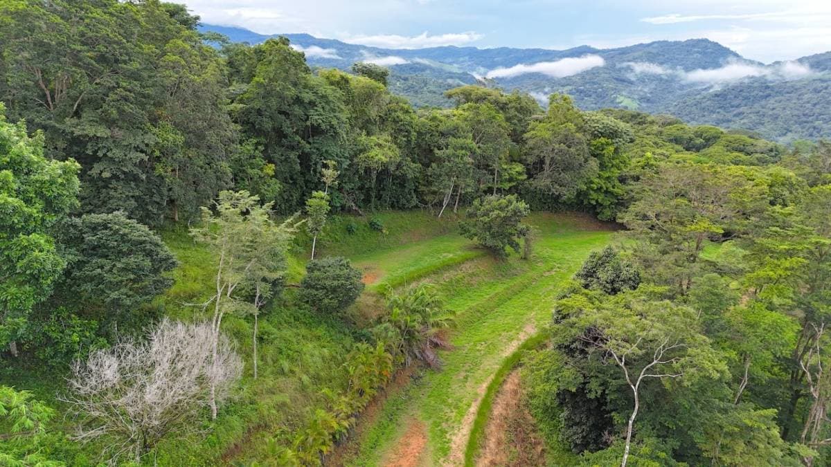 Property at Platanillo