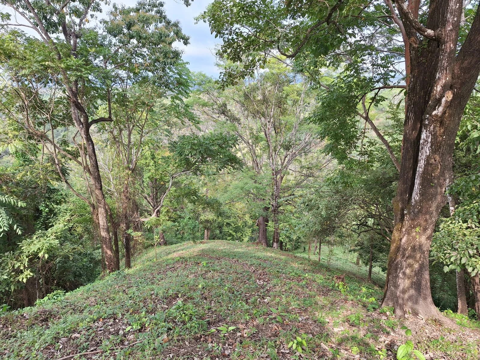 Land at Cóbano