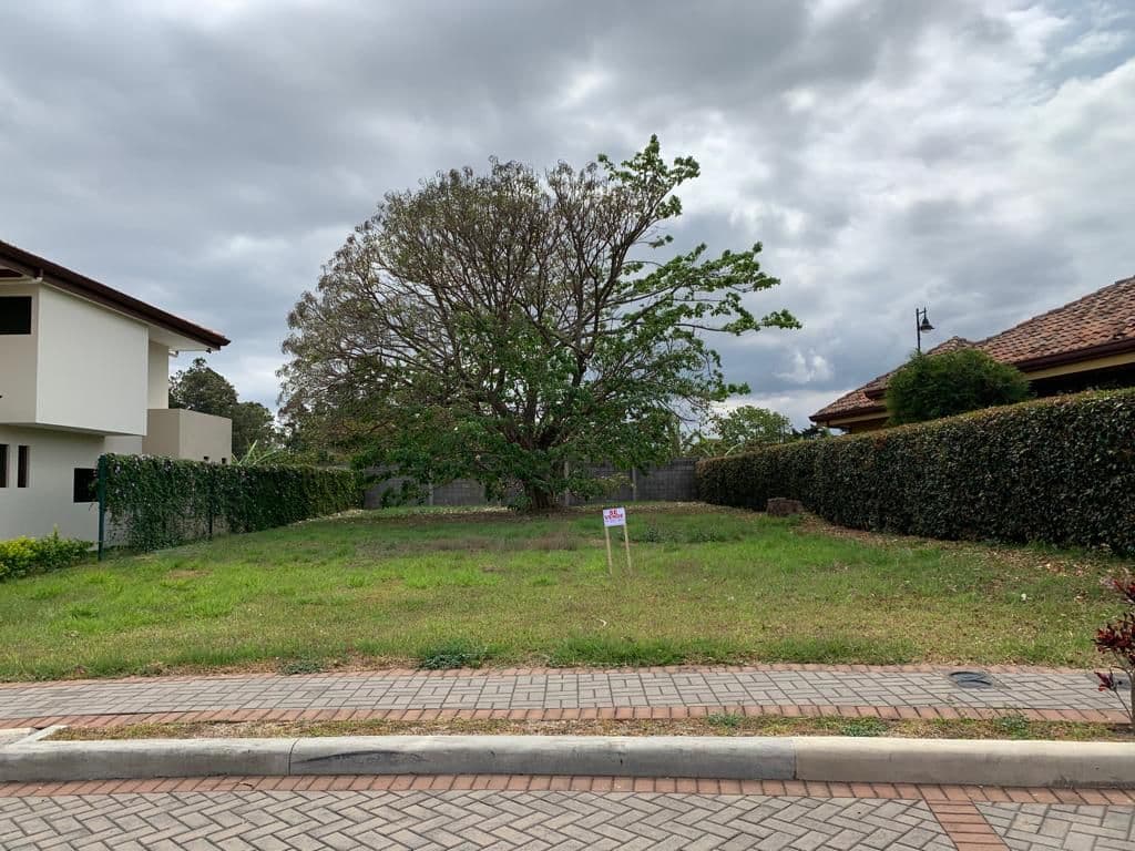 Property at San Miguel