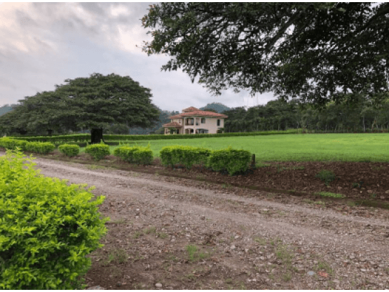 Property at Miramar