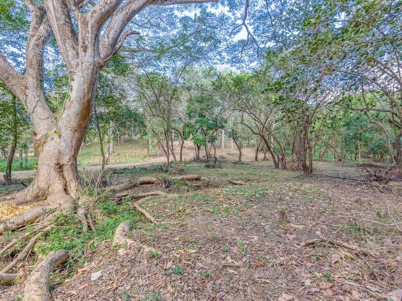 Terreno en Nosara