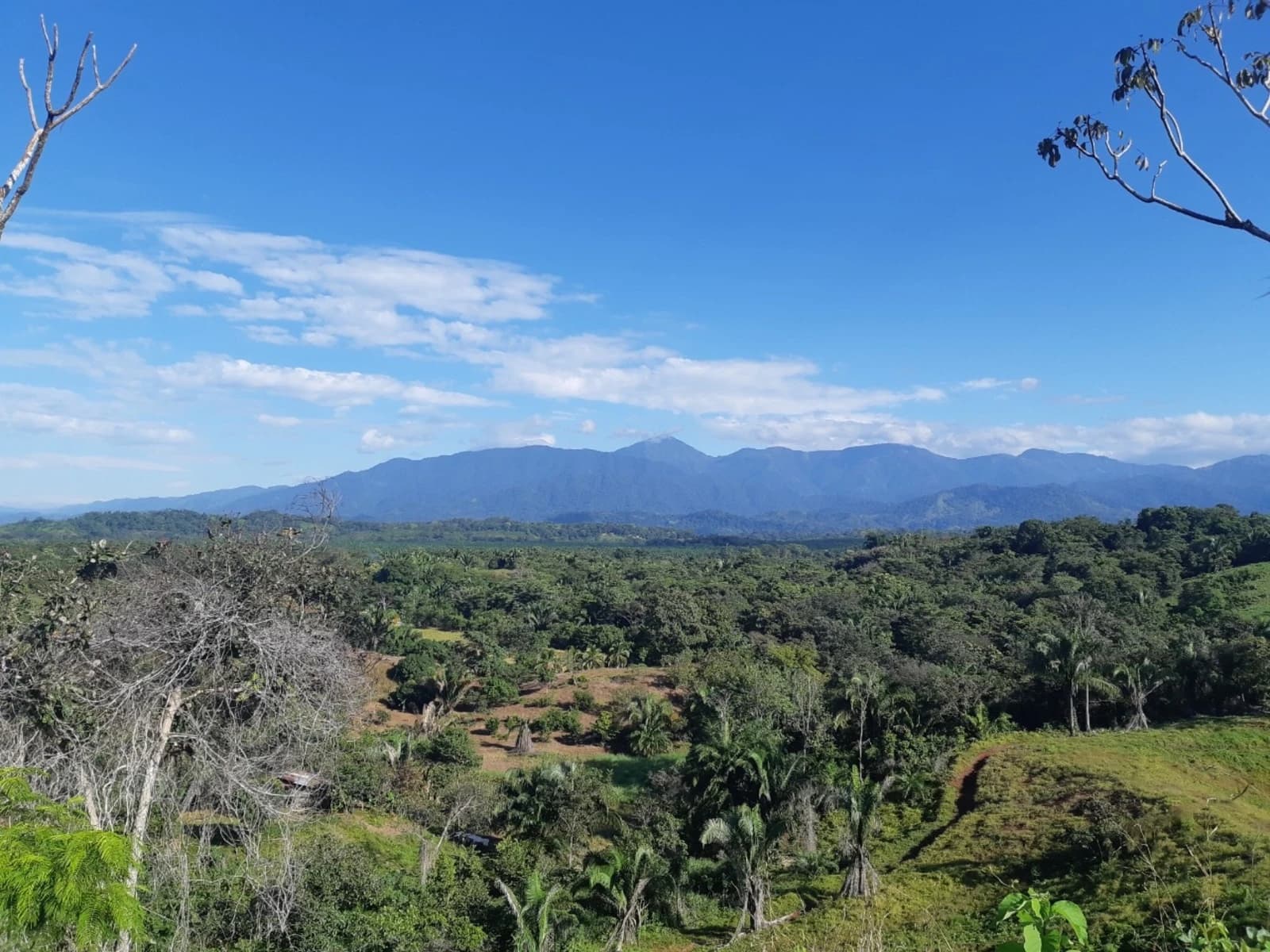 Land at Quepos