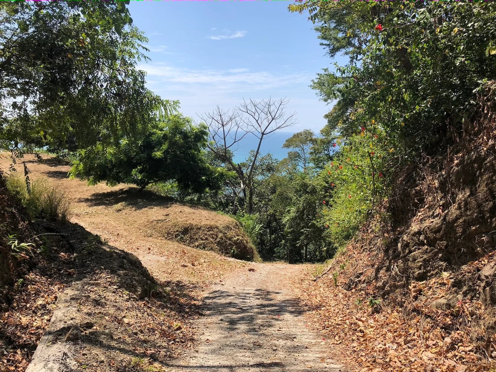 Land at Cóbano