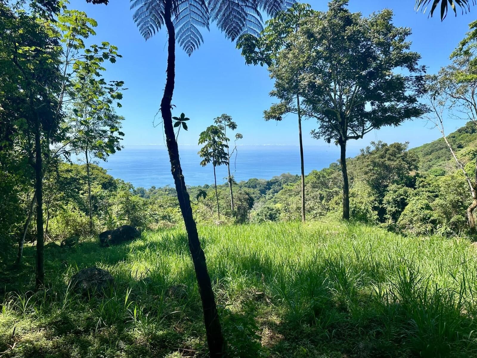 Terreno en Bahía Ballena