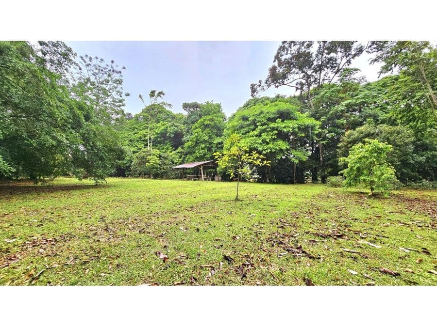 Terreno en Guápiles