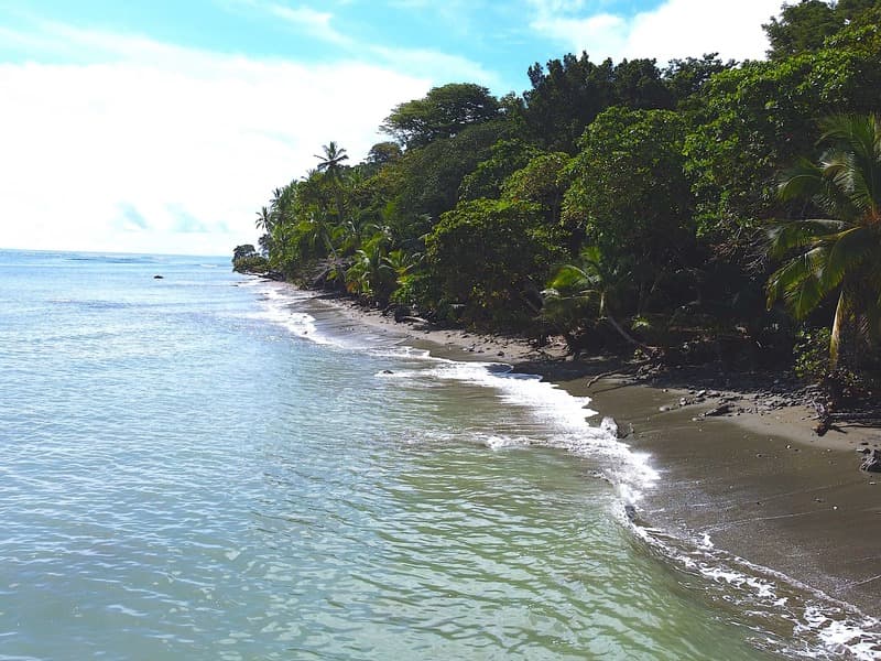 Property at Puerto Jiménez