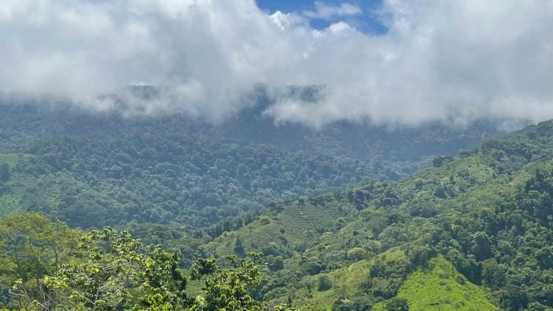 Terreno en Bahía Ballena