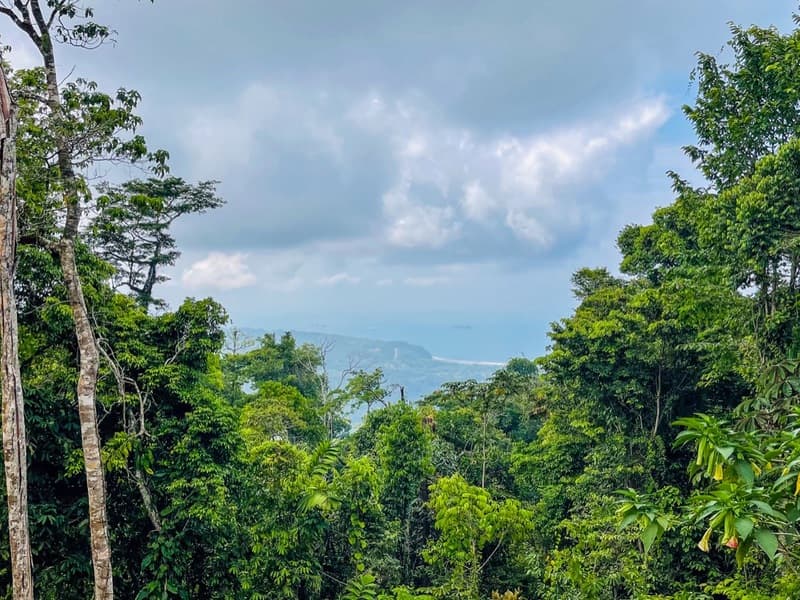 Terreno en Bahía Ballena