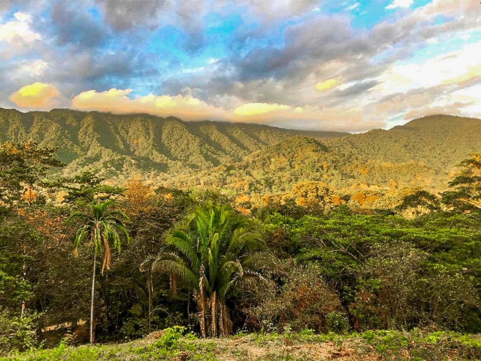 Terreno en Puerto Cortés