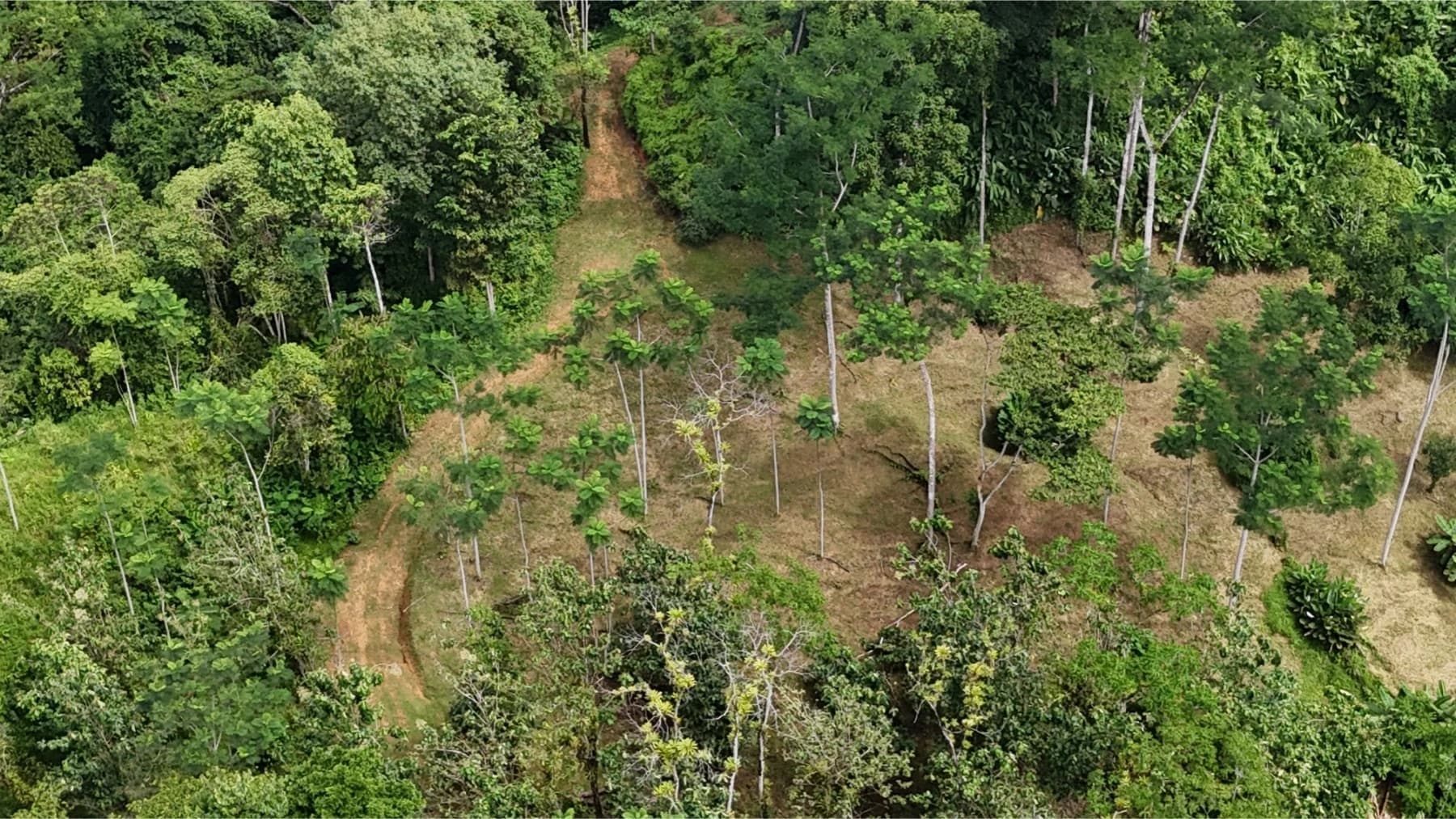 Land at Savegre