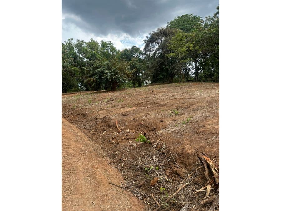 Terreno en Alajuela
