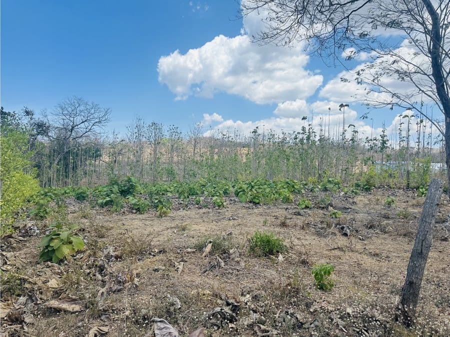 Terreno en Tamarindo