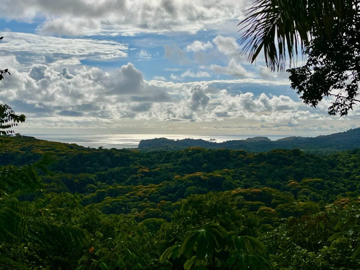 Propiedad en Punta Mala