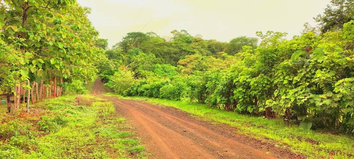 Propiedad en Guacalillo