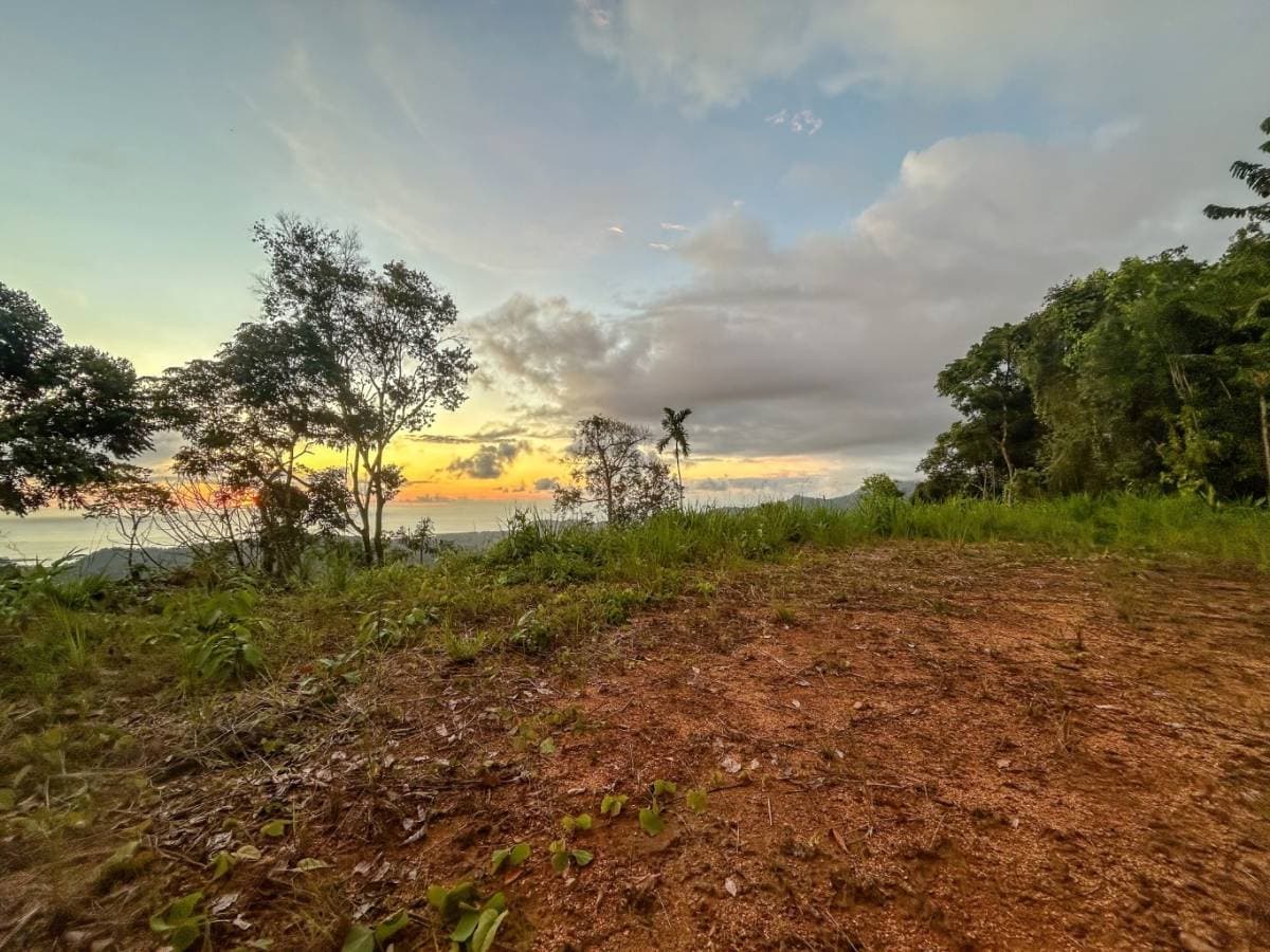 Propiedad en Punta Mala